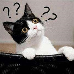 青光眼,?，斎鹨曆劭?上海眼科醫(yī)院