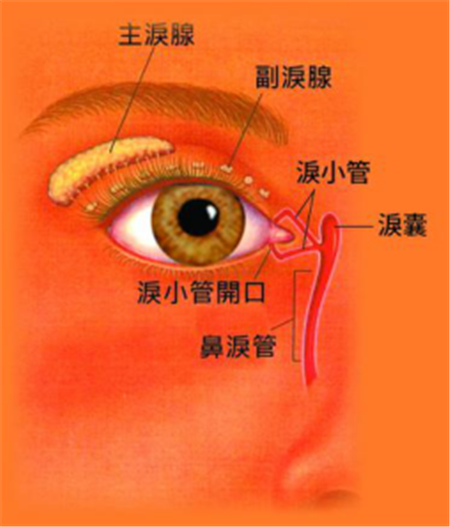 眼眶病,希瑪瑞視眼科,上海眼科醫(yī)院