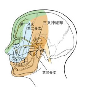 眼表眼角膜,?，斎鹨曆劭?上海眼科醫(yī)院