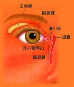 眼眶病,希瑪瑞視眼科,上海眼科醫(yī)院