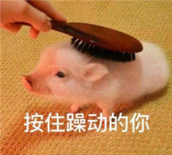 眼表眼角膜,希瑪瑞視眼科,上海眼科醫(yī)院