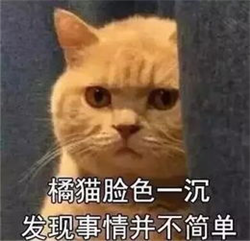 青光眼,?，斎鹨曆劭?上海眼科醫(yī)院